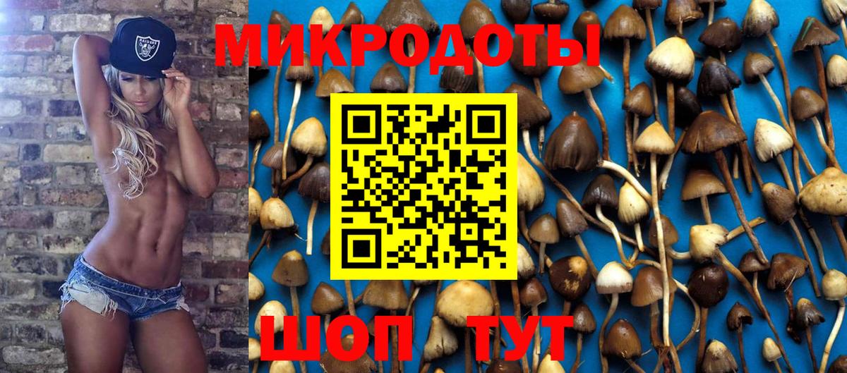 Свободный  Галлюциногенные грибы Cubensis  Вход с VPN 