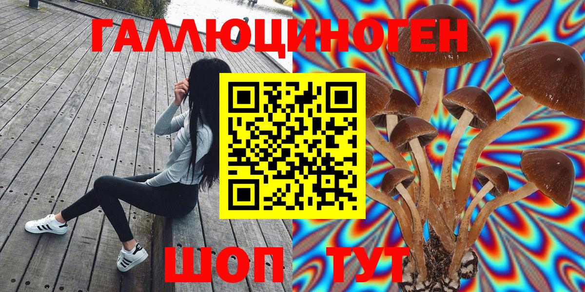 Псилоцибиновые грибы GOLDEN TEACHER Свободный