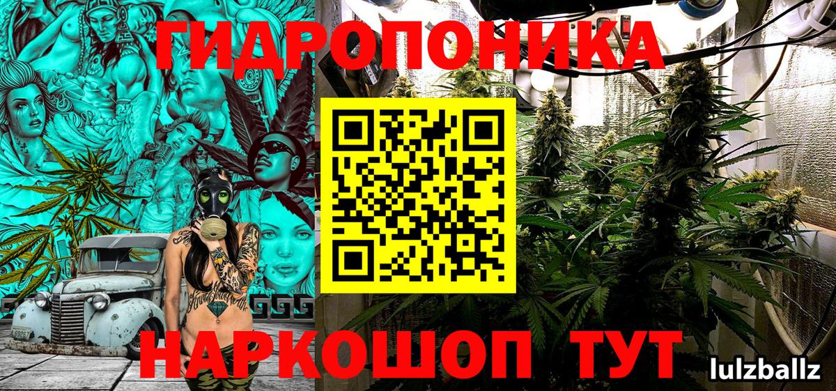 Бошки марихуана Amnesia  Вход с VPN  Свободный  Канабис VHQ 